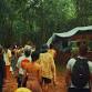 MYCELIUM FESTIVAL 2025 event image
