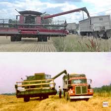 Image result for Light Harvest Gold 1983 Fedders
