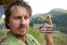 405 Moth Man Stock Photos, High-Res Pictures, and Images