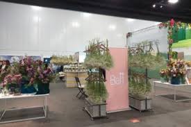 Purchase by the bunch or box. Us Fl Looking Back At The International Floriculture Expo 2019