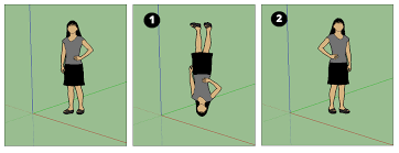 Check spelling or type a new query. Flipping Mirroring Rotating And Arrays Sketchup Help