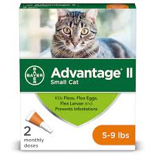 Flea treatment control for kittens how to remove fleas from young kittens. Advantage Ii Once A Month Cat Kitten Topical Flea Treatment 5 To 9 Lbs Pack Of 2 Petco
