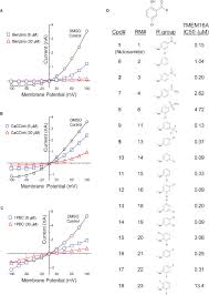 Niclosamide is an anthelmintic, prescribed for worm infections (fish tapeworm, dwarf tapeworm, and beef tapeworm infections). Frontiers Drug Repurposing The Anthelmintics Niclosamide And Nitazoxanide Are Potent Tmem16a Antagonists That Fully Bronchodilate Airways Pharmacology