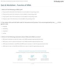 Compare search ( please select at least 2 keywords ) most searched keywords. Quiz Worksheet Function Of Trna Study Com