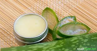 Cildiniz kuruduğunda, bir nemlendirici takviyesine ihtiyaç duyarsınız. Lippenbalsam Mit Aloe Vera Selber Machen