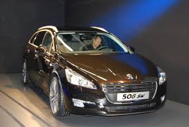 Image result for Brun Guaranja 2011 Citroen