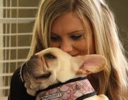 Stay tuned for video of our new facility in 2019. Sorbet Dog Ranch Rescue