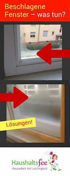 Fenster Beschlagen Von Innen Was Kann Ich Tun Haushaltsfee Haushalt Und Haushalts Tipps