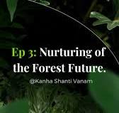 Tune into this episode to witness how rare and endangered plant saplings  journey from the tissue culture lab to the fields. Also, discover the steps  taken to prepare them for plantation at ...