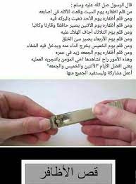علومات اسلاميه Islam Facts Islam Beliefs Islamic Love Quotes