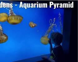 Image of Galveston Aquarium