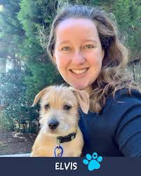 Our round up of rescue dogs adopted in August.💞, 49 rescue dogs found  their forever families and were adopted…including our Fantastic 24 oodles  ✨, A massive thank you to everyone in our community who ...