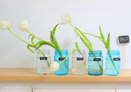 Chicken pox has a reproduction number r0 of 10 or 12. Do You Want To Know How To Make Flowers Last Longer Happy Happy Nester