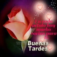 En Cada Petalo Hay Mucho Carino Para Ti Buenos Dias Buenas Tardes Tarjeta De Buenas Tardes Saludos De Buenas Tardes