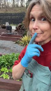 Honeybee Viola~we think it's the perfect fall flower🧡💛🤎 in stock now!  @yardngardenland