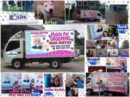 Please stop by tuesday through saturday with your dog and talk with any one of our 6 groomers who have a combined 60 years in the grooming industry, about scheduling an appointment. Cuddler Pet Hub Dog Grooming Home Facebook