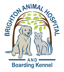 Enter your zip code & find info on low cost vet. Veterinary Hospital In Rochester Ny 14625 Brighton Animal Hospital