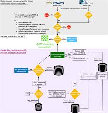 Given a set of observations, the median is the middle value among the observations. Pathogenic Impact Of Transcript Isoform Switching In 1 209 Cancer Samples Covering 27 Cancer Types Using An Isoform Specific Interaction Network Scientific Reports