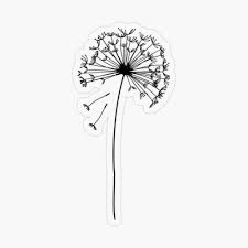 Floral Pattern Of Dandelions Transparent Sticker By Alijun In 2020 Black And White Stickers White Stickers Aesthetic Stickers