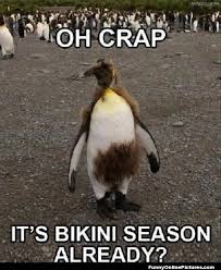 The best memes from instagram, facebook, vine, and twitter about penguin meme. Funny Penguin Memes