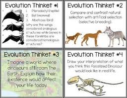 Evolution Task Cards Distance Learning Task Cards Evolution Darwin S Theory Of Evolution