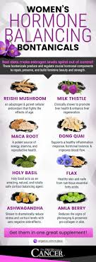 Can High Estrogen Levels Aka Estrogen Dominance Become A Problem For Women Estrogen Is Good For Women Hormone Balancing Female Hormones Endocrine Disruptors