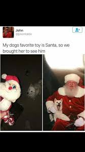 Pin By Flor Cappanera On Cute And Funny Animals Cute Funny Animals Best Funny Pictures Funny Pictures