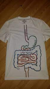 T Shirt Of The Digestive System Will Definitely Use This Concept Next Year To Teach My Studen Human Body Activities Digestive System Model Human Body Projects