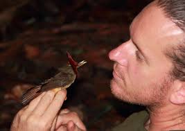 Even in intact Amazon forests, climate change affects bird populations:  Study