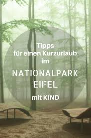 Der Nationalpark Eifel Ist Nur Einen Katzensprung Von Uns Entfernt Doch Nie Bin Ich Auf Die Idee Gekommen Diesen Ausflug Ausflugsziele Kurzurlaub Deutschland