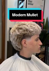 Bleached Mullet Gay