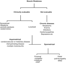 Image result for Muscle Weakness Causes