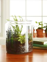 Le Terrarium De Printemps Un Morceau De Nature A La Maison How To Make Terrariums Terrarium Garden Terrarium