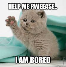 25 Very Funny Bored Memes Pictures And Photos Of All The Time