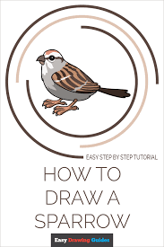 We did not find results for: How To Draw A Sparrow Really Easy Drawing Tutorial