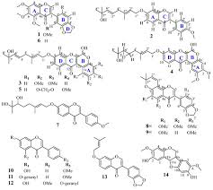 Image result for Xeroderris stuhlmannii