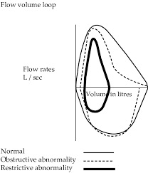 Flow Volume Loop Obstruction In Copd Dotted Lines Download Scientific Diagram
