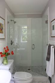 Small bathroom ideas with walk in shower. How To Add A Basement Bathroom 35 Ideas Digsdigs