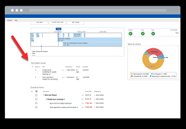 Contracts and terms of agreement) create and maintain comprehensive project documentation, plans and reports ensure standards and requirements are met through conducting quality assurance tests How To Track Project Issues With Sharepoint Template