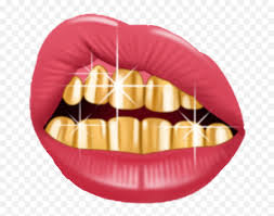 We did not find results for: Mouth Grillz Clipart Transparent Png Mouth With Gold Teeth Grillz Png Free Transparent Png Images Pngaaa Com