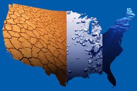 Image result for water