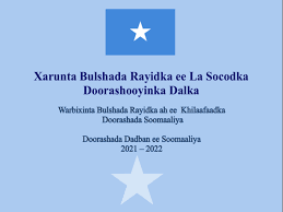 POSTS – Somalia Non-state Actors