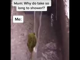 Who Do You Take So Long In The Shower Meme Youtube Shower Memes Just Video Funny Scenes