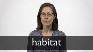 Habitat refers to the place or the location where an organism (or a biological population) lives, resides or exists. Habitat Definition And Meaning Collins English Dictionary