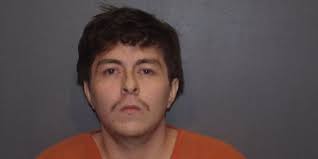 Dog owner accused of holding driver at gunpoint, forcing him to dig grave  after hitting dog with car : r/nottheonion