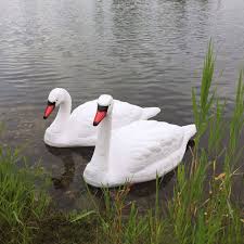 Let grass grow taller—at least six inches and leave taller grass over winter. Swan Decoys Goose Repellent Decoys The Pond Guy