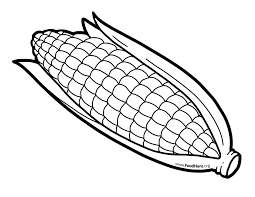 Black And White Outline Corn Clipart Corn Illustration Found At Foodhero Org Bullentinboards Blackline Schoolart Corn Coloring Pages For Kids Illustration