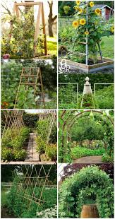10 Vegetable Garden Trellis Ideas Simphome Vegetable Garden Trellis Backyard Vegetable Gardens Diy Garden Trellis