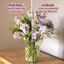 Our 'just because' range of flowers are sure to surprise loved ones and let them know that they are never too far from your thoughts. Just Because Flowers Online Flower Delivery Next Day Flower Delivery Bloom And Wild Online Flower Delivery