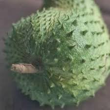 Beberapa kajian menyatakan bahawa buah durian belanda itu sendiri. 22 Jus Annona Annona Juice Ideas Jus Juice Glutathione Benefits